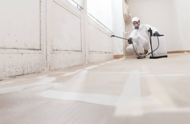 24/7 Emergency Crawl Space Mold Remediation experts in San Antonio, FL